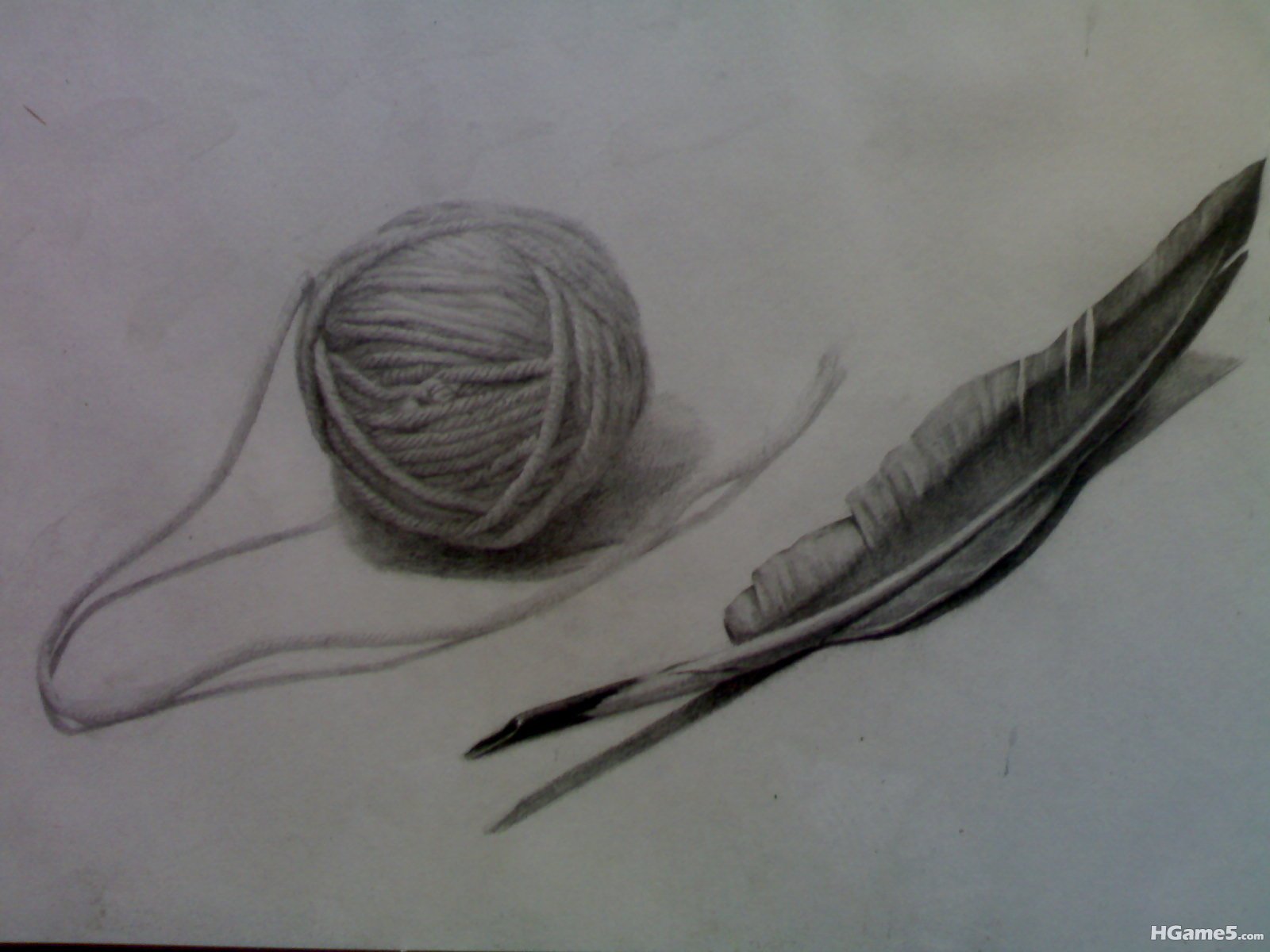 20110513825.jpg