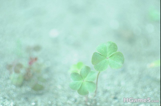 124916quwbc8sucbspgusg.jpg