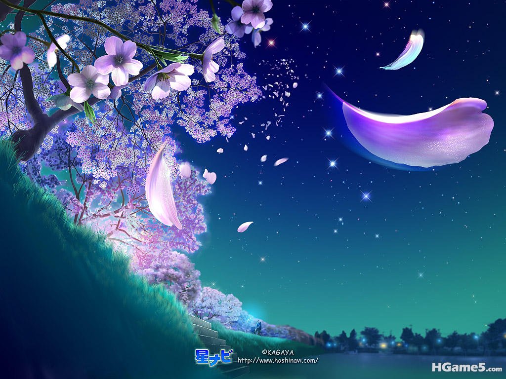 6c8e6266f5ffb123aa184c00.jpg