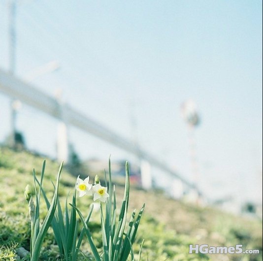 12490029ra4g2u9wvgxv7u.jpg.thumb.jpg