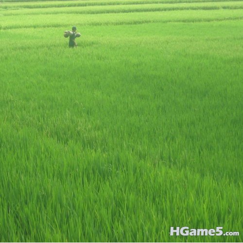 0216222opsgef6egd22lge.jpg