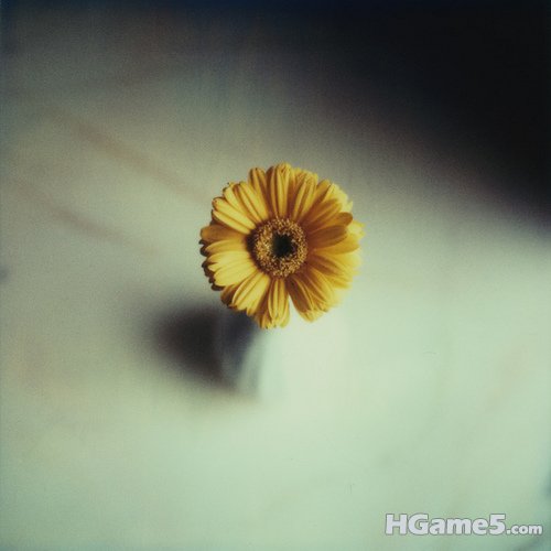 021619cmz9s1hmch7sa7x9.jpg