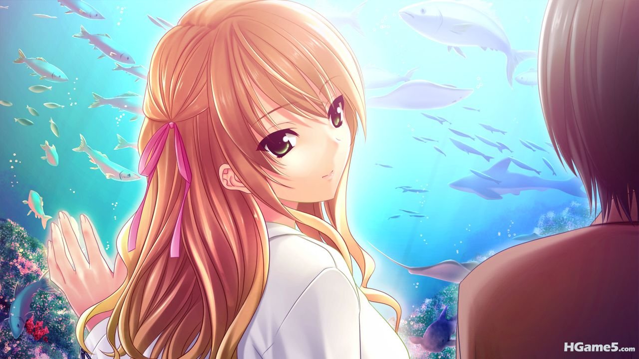Konachan.com - 103920 animal erihara_kano fish game_cg kisaragi_mizu morobito_kozorite.jpg