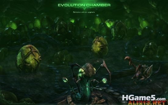 550_blizzardheartoftheswarm15.jpg