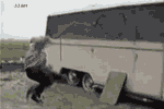 27381d43e94e255c18902116d31e677a.gif