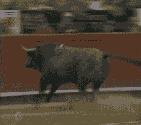 5f60c79a16890493cd6bb2fe1fe675ac.gif