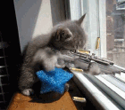 u=649179959,1332936102&fm=0&gp=0.gif