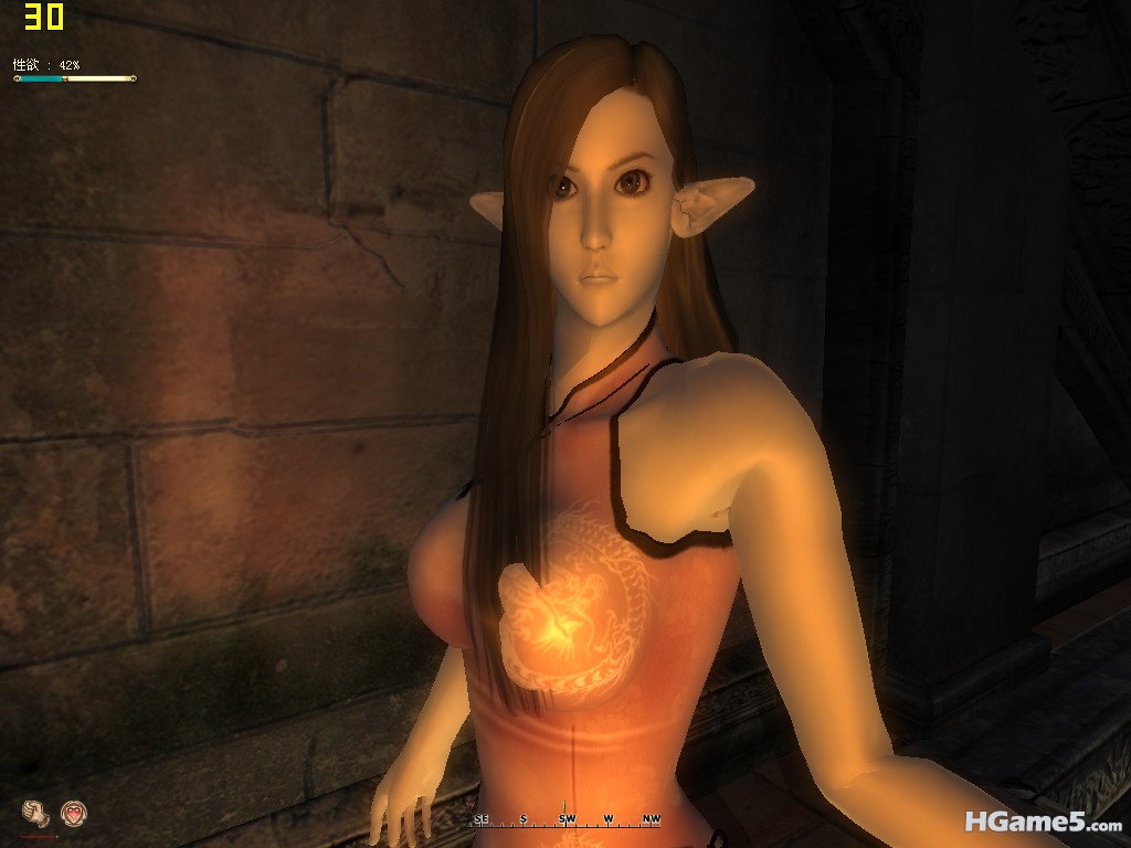 Oblivion 2011-06-20 14-15-17-92_副本.jpg
