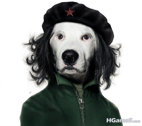 dog瓦拉.jpg