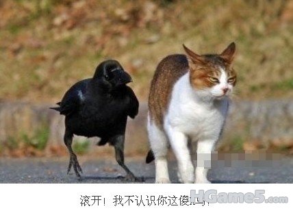 哥屋恩.jpg