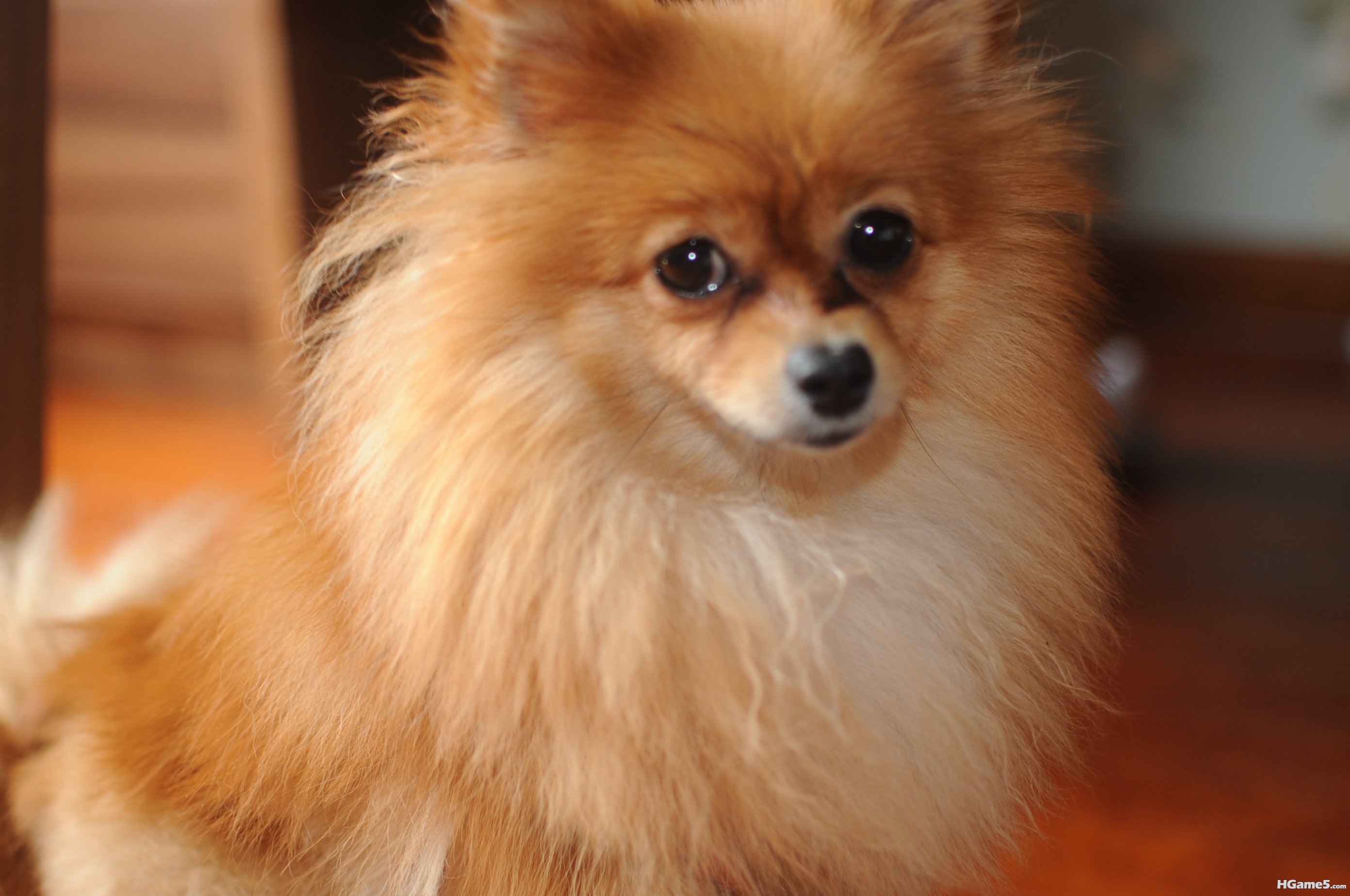 DSC_1131.JPG
