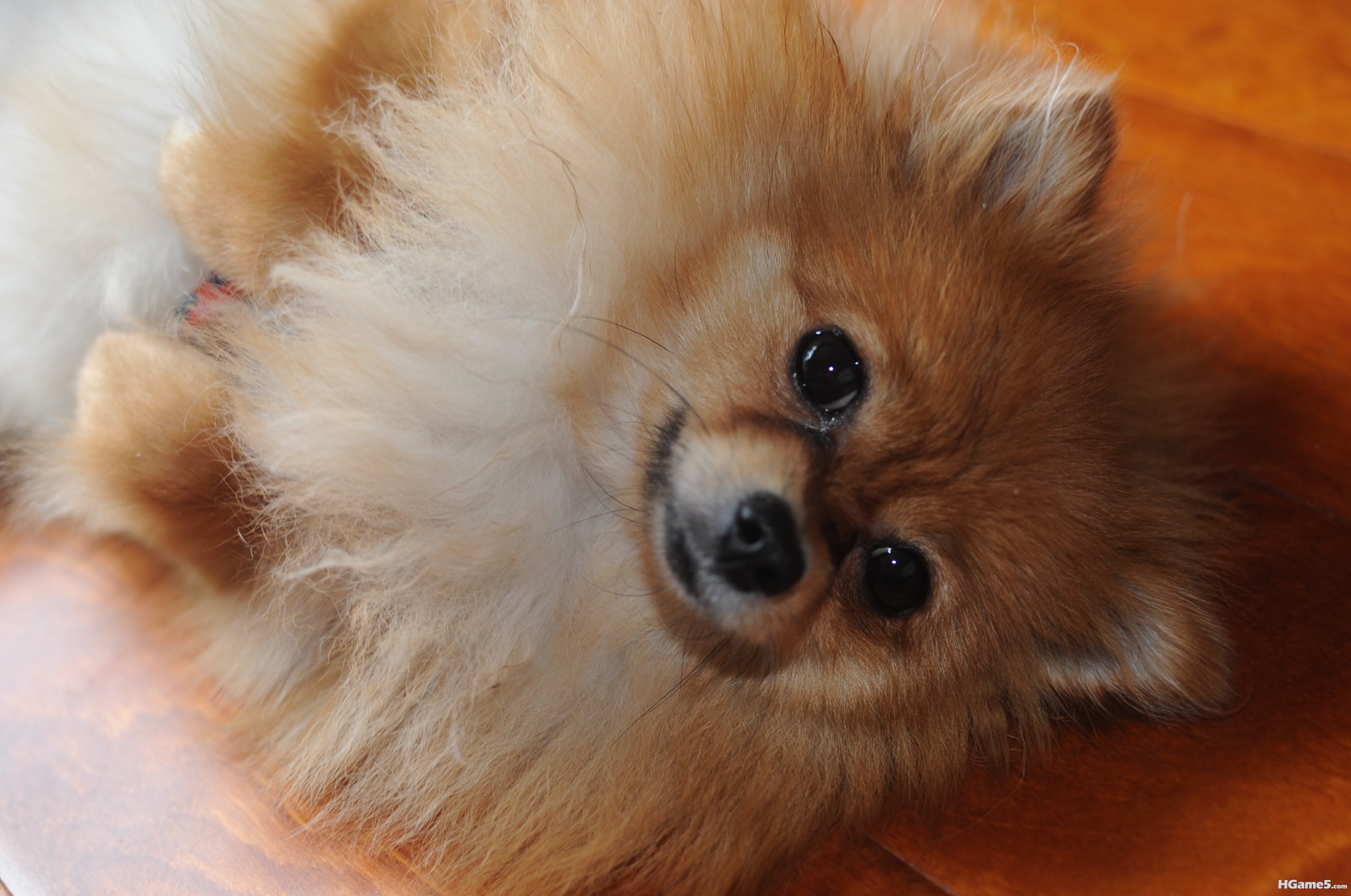 DSC_1146.JPG
