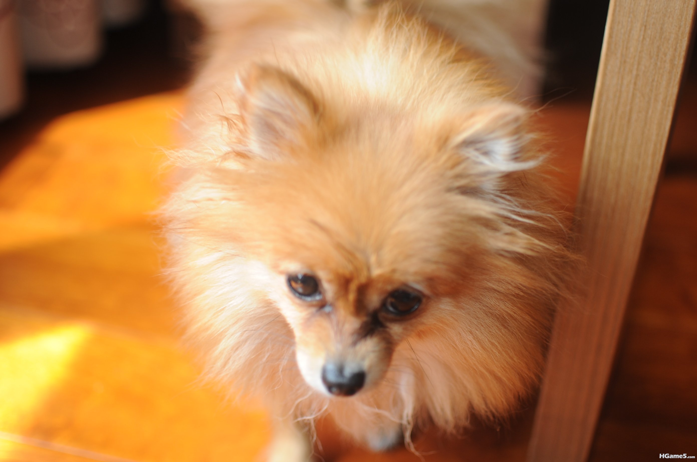 DSC_1155.JPG