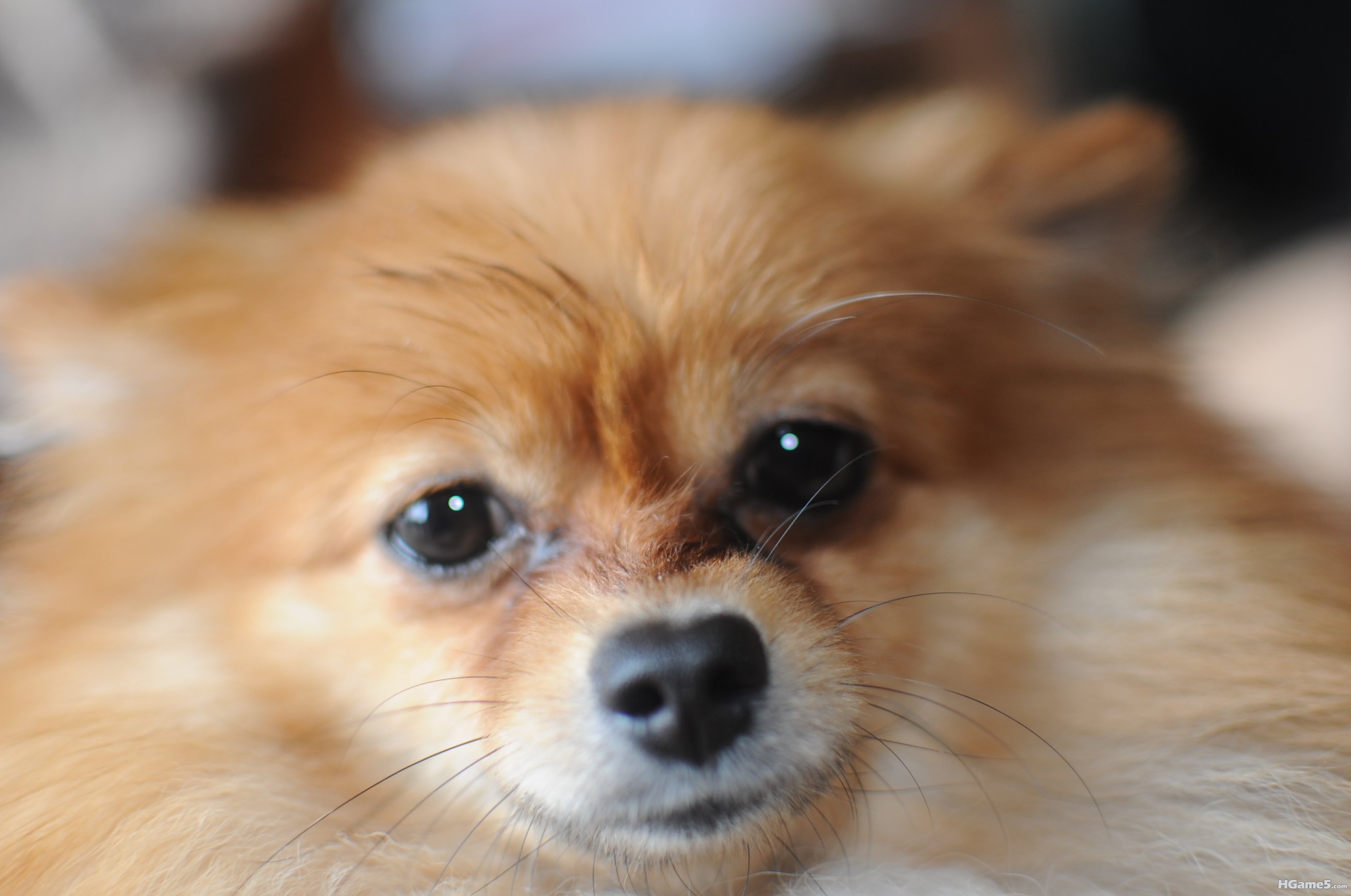DSC_1166.JPG