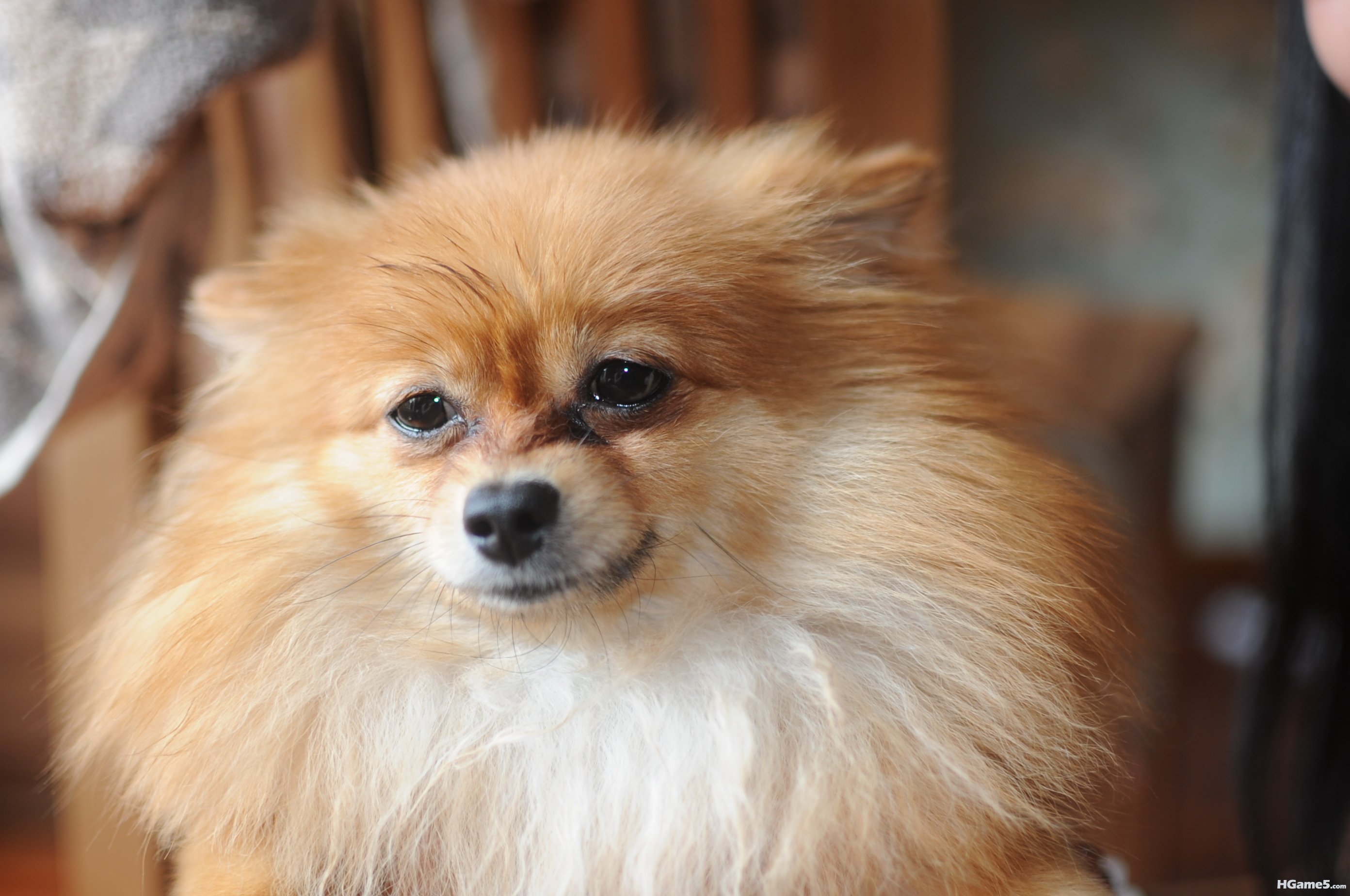 DSC_1174.JPG