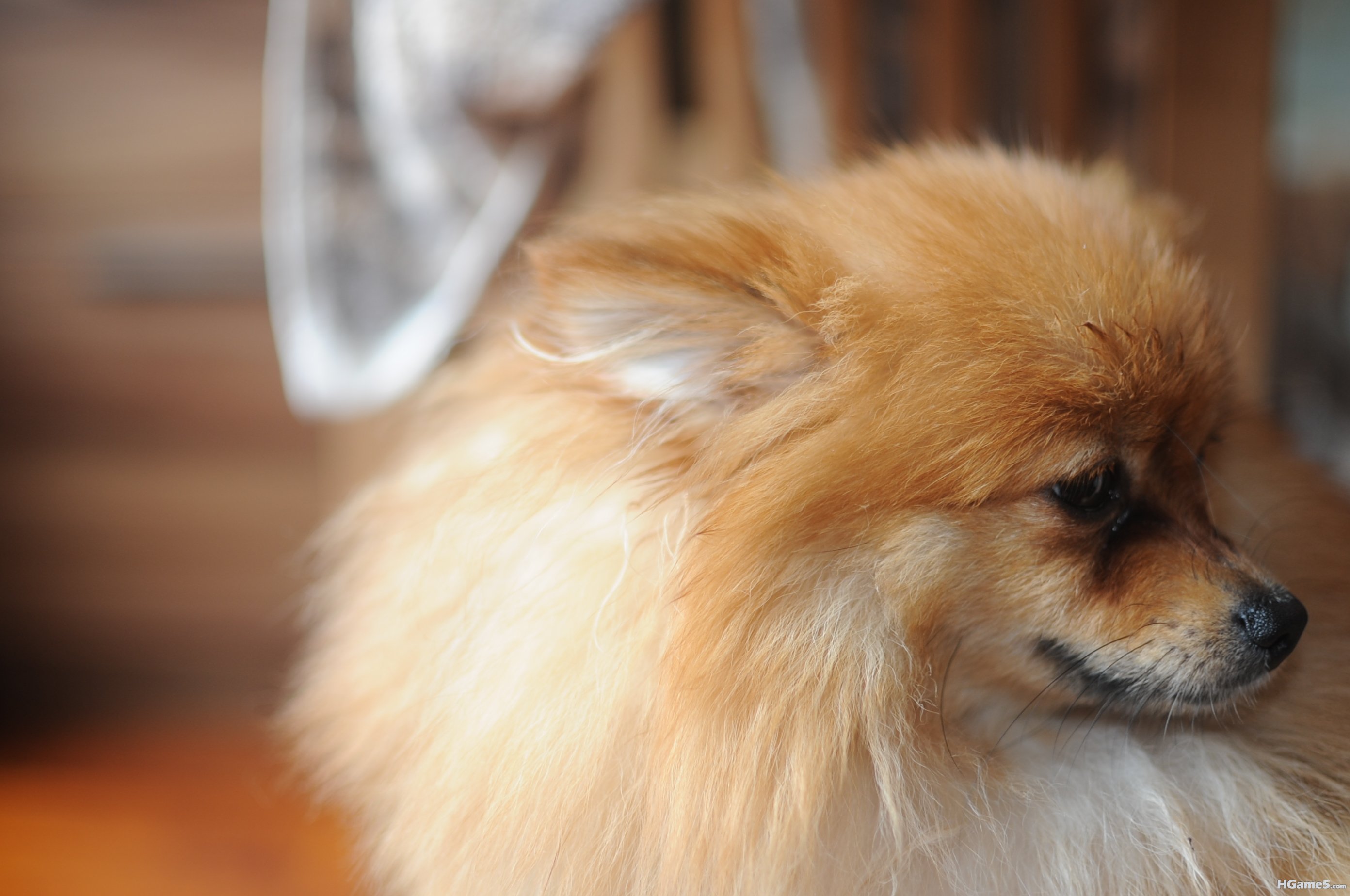 DSC_1177.JPG