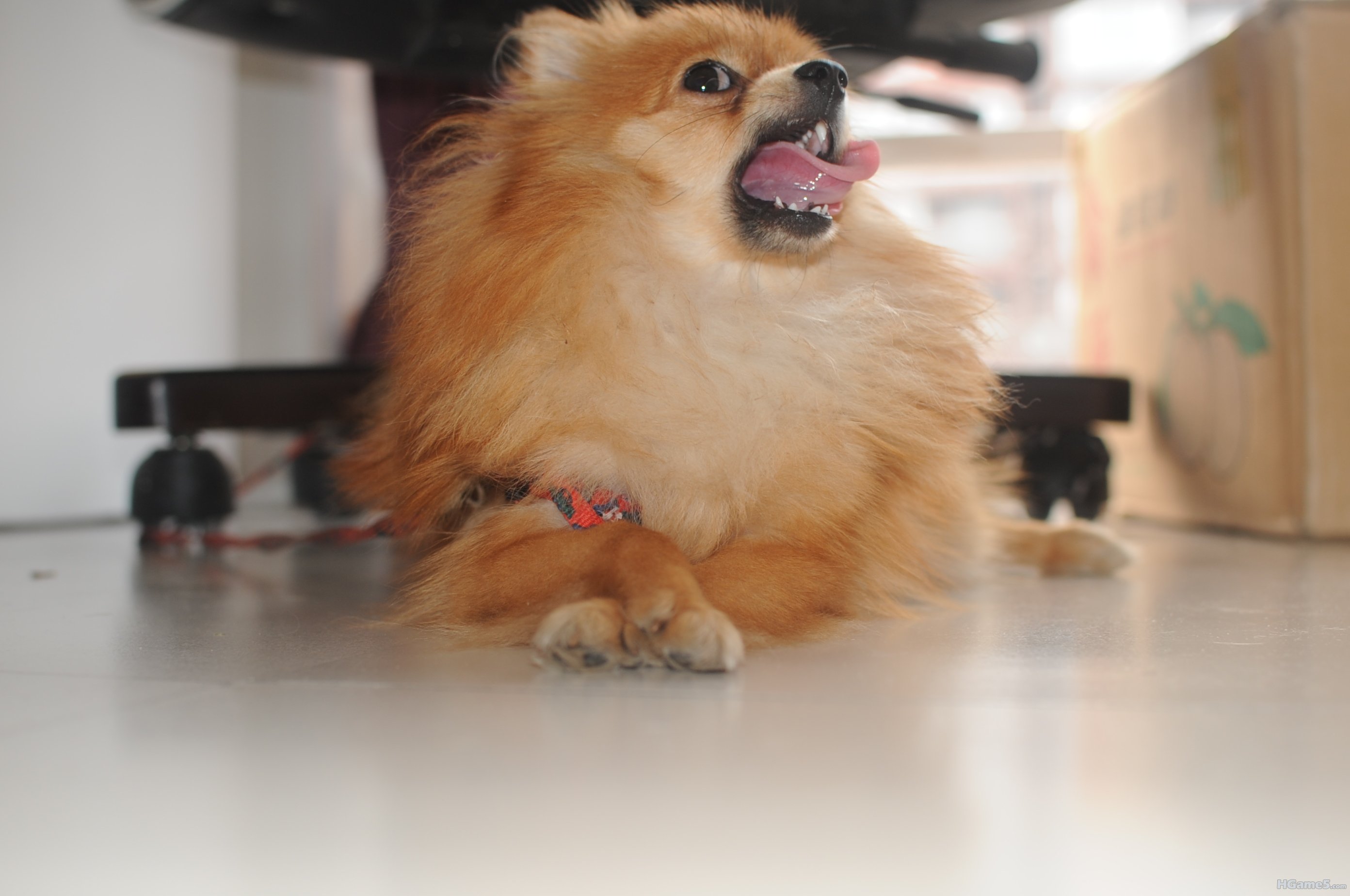 DSC_1259.JPG