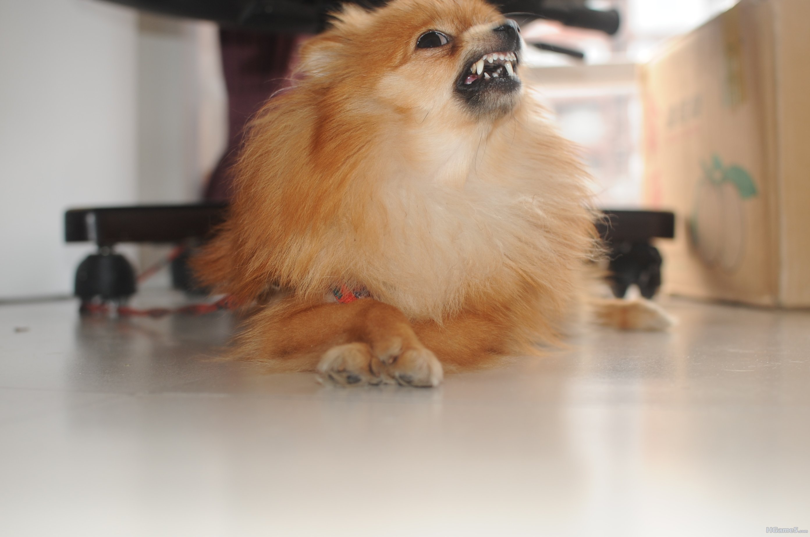 DSC_1260.JPG