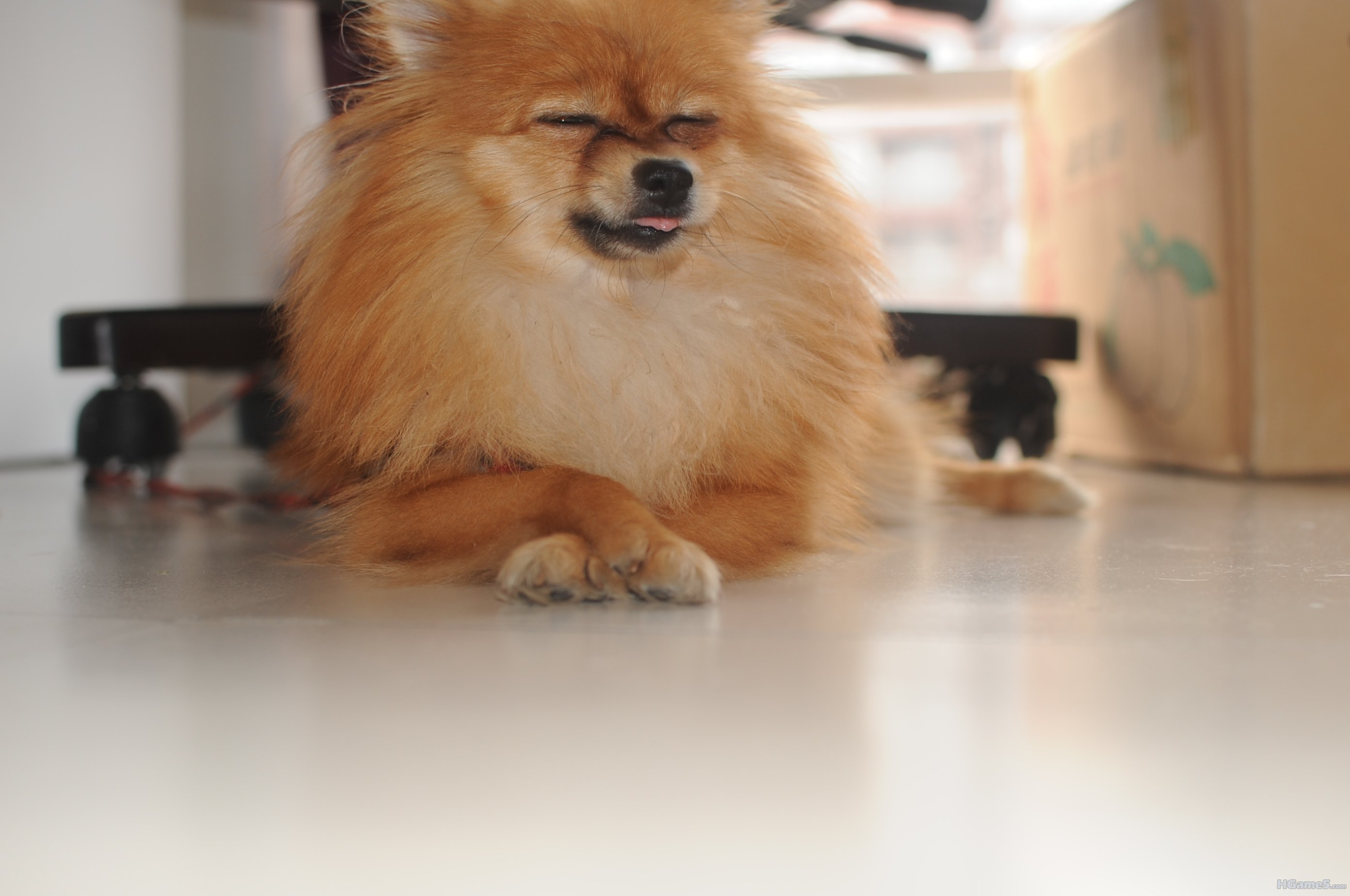 DSC_1262.JPG