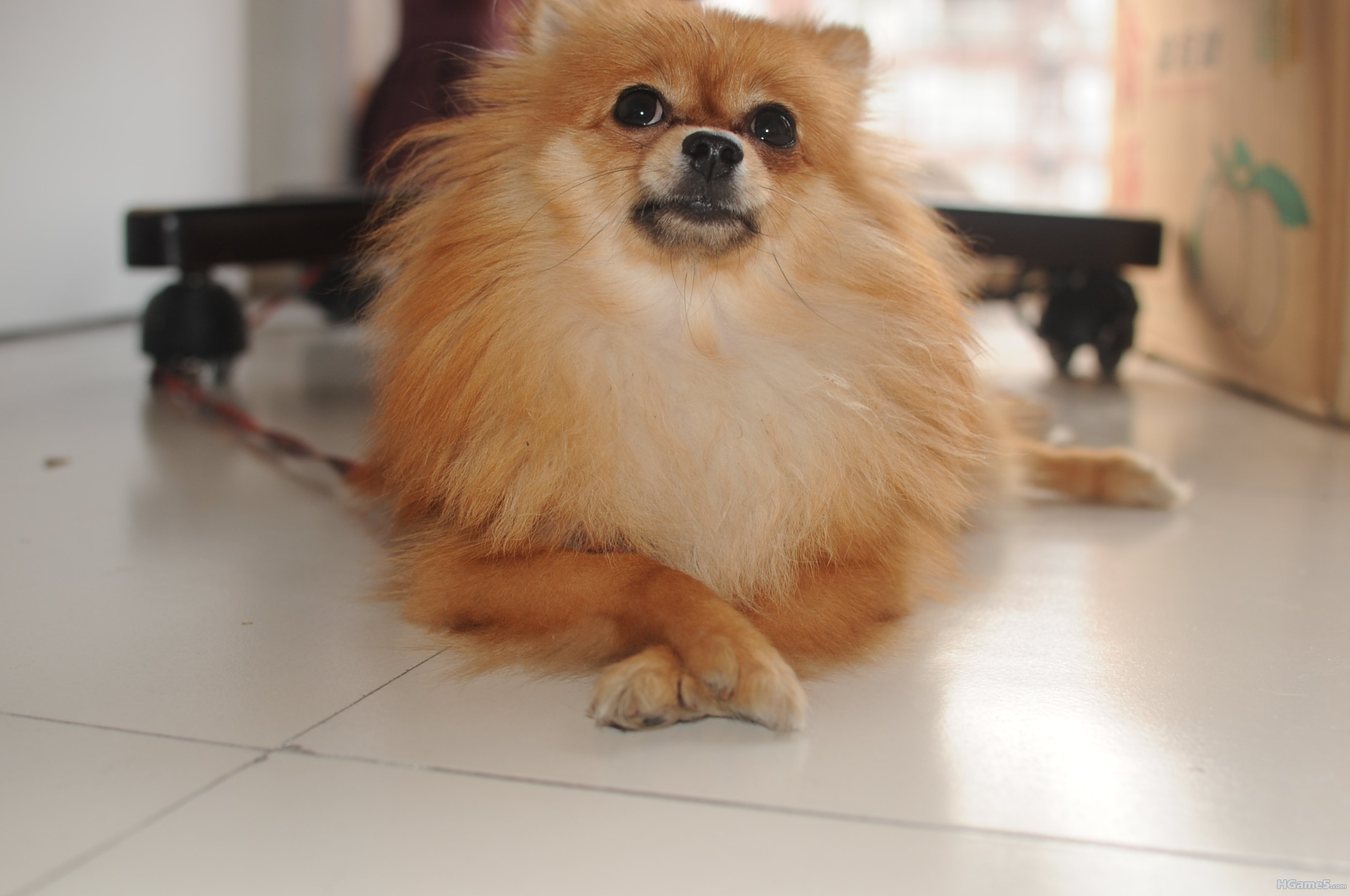 DSC_1267.JPG