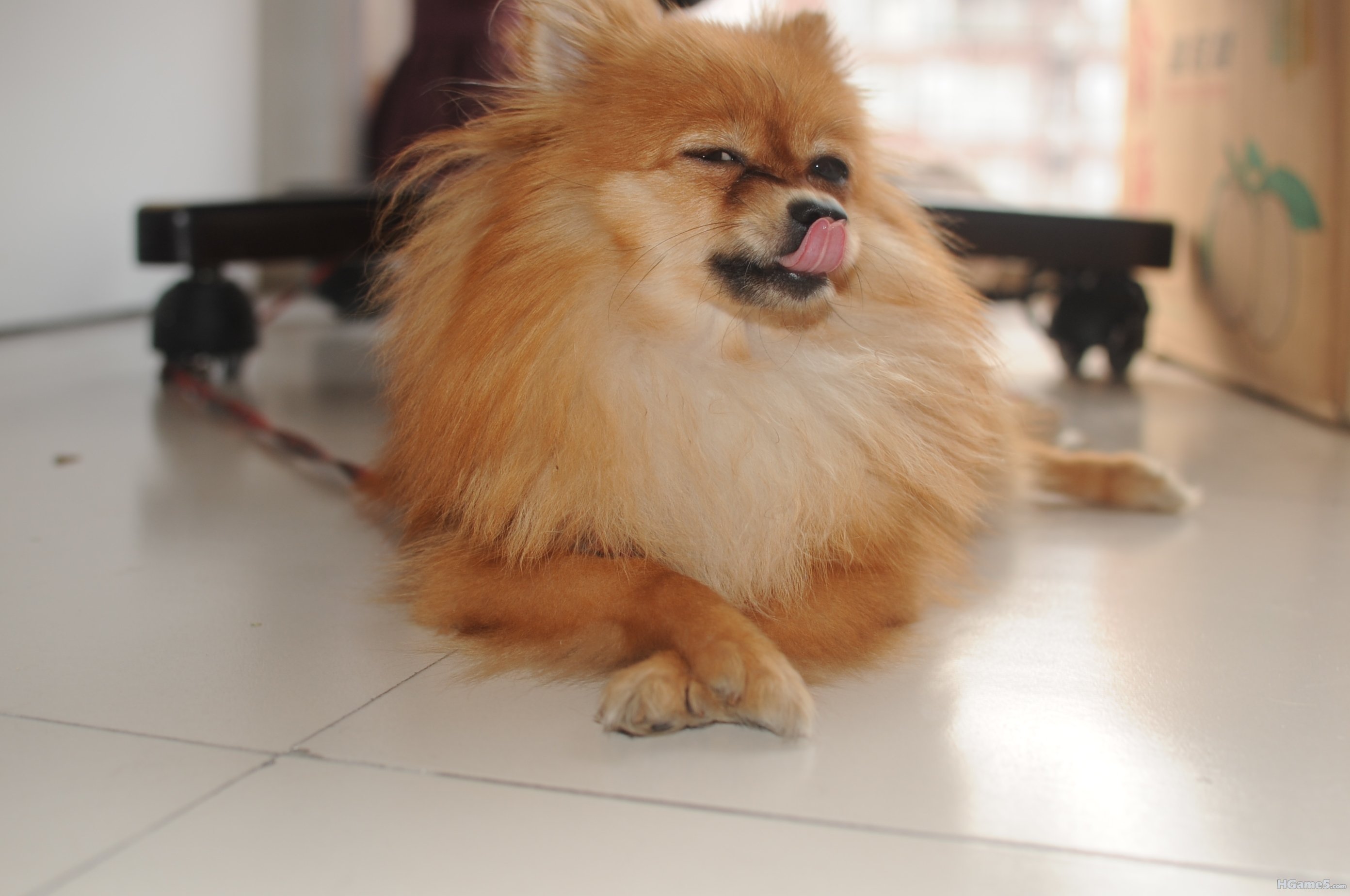 DSC_1268.JPG