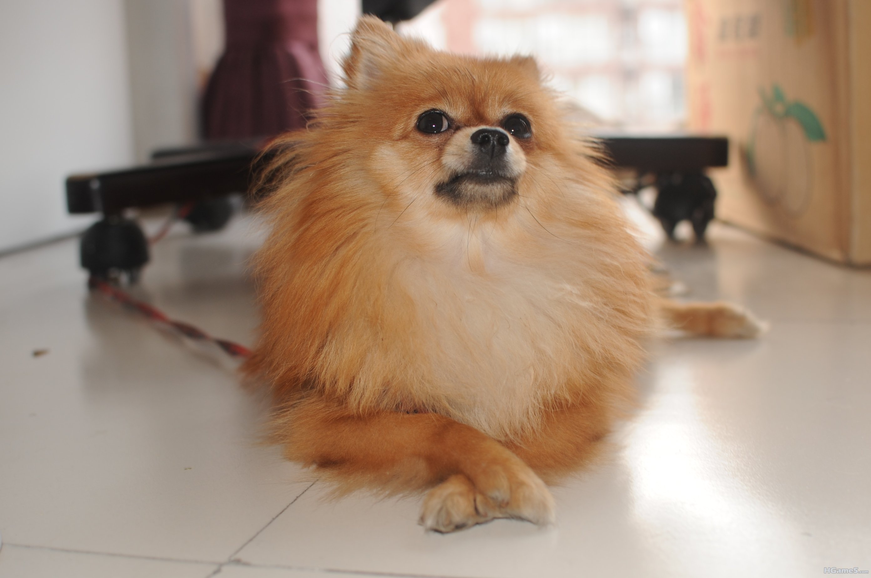 DSC_1269.JPG