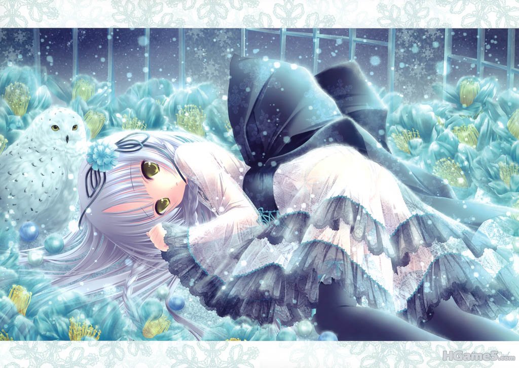 萌幻茶社=W=黑丝1339.jpg