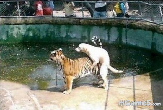 k2011213075522563806.jpg