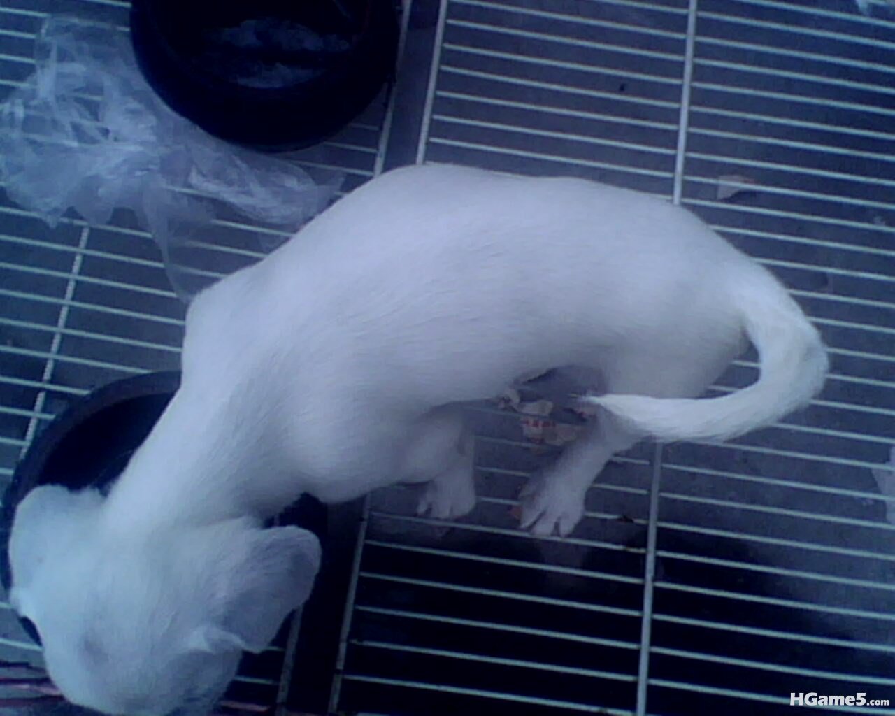 IMG0301A.jpg