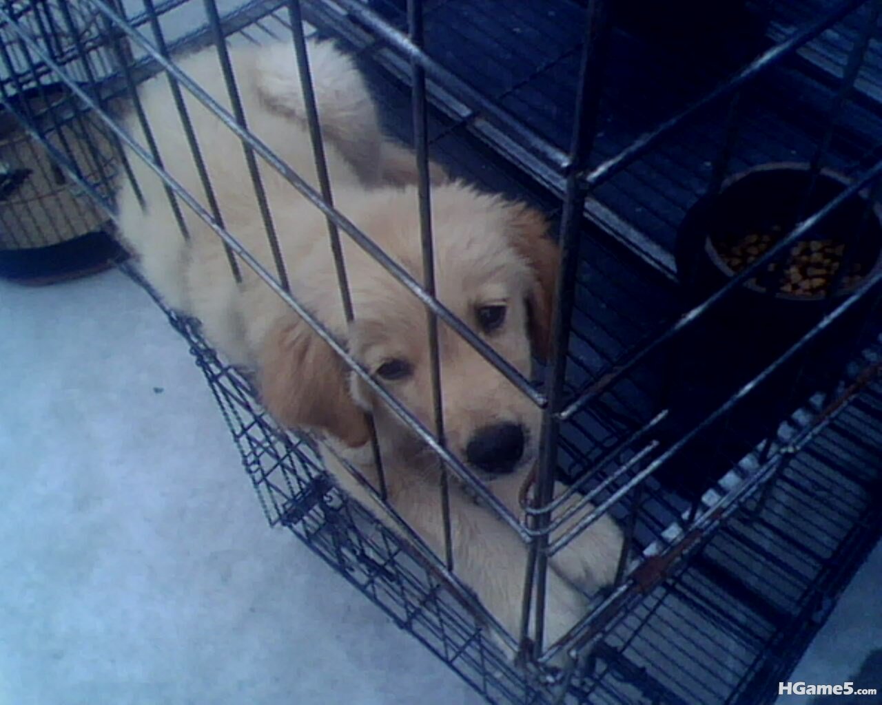 IMG0303A.jpg