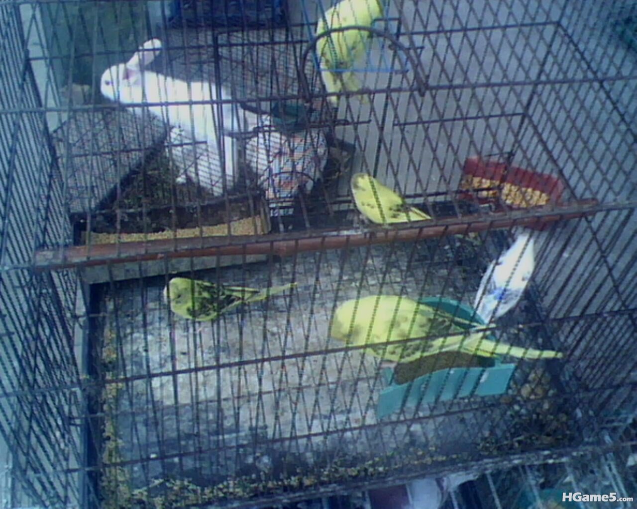 IMG0304A.jpg