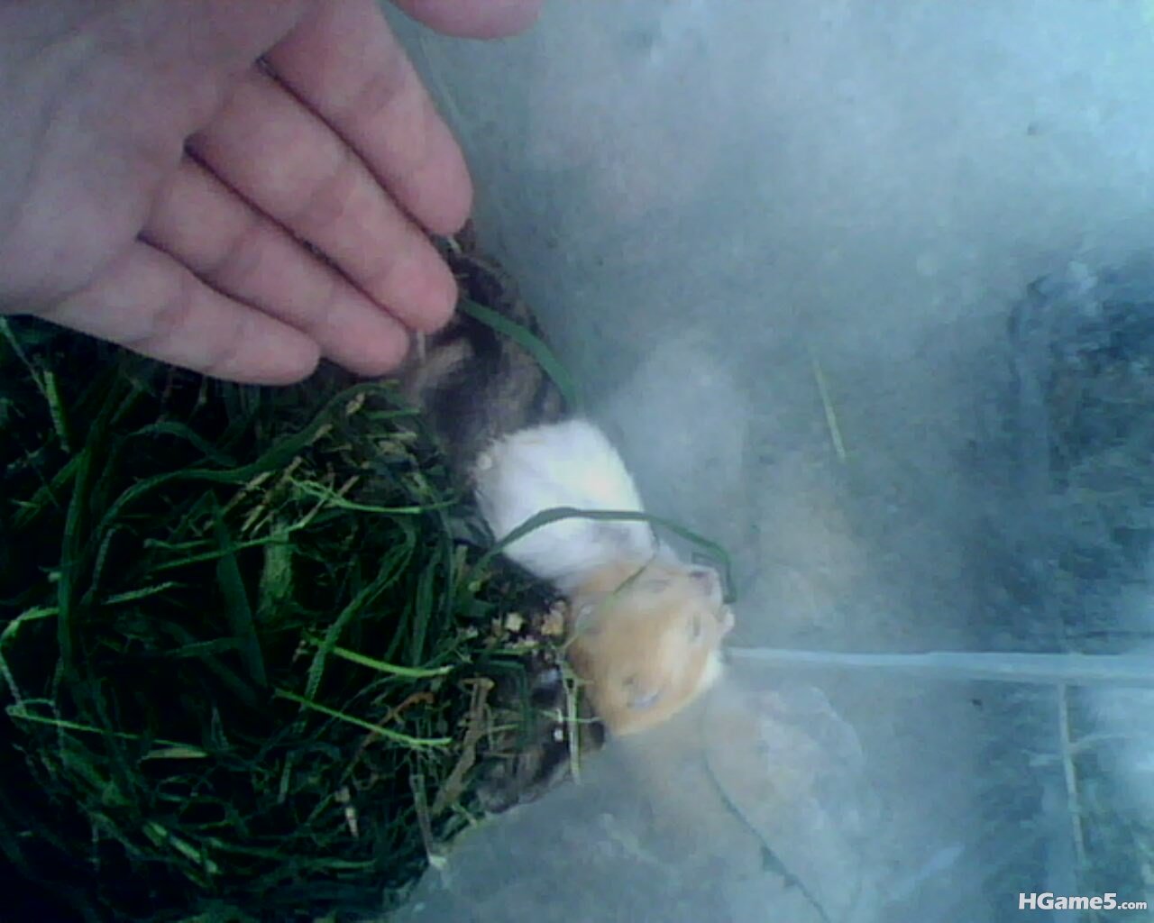 IMG0308A.jpg