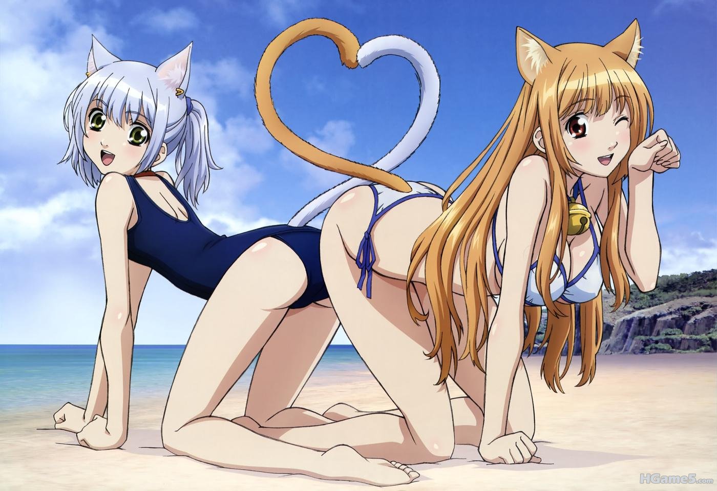 玩伴猫耳娘.jpg