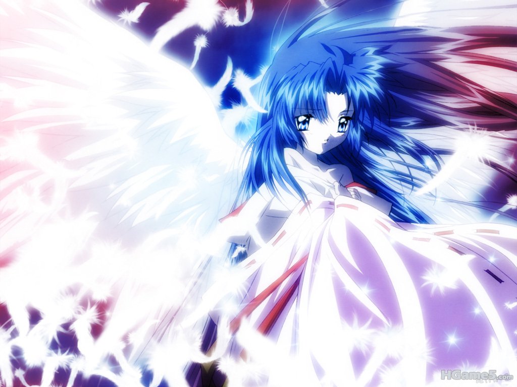 Konachan.com - 4888 air blue_eyes blue_hair feathers japanese_clothes kannabi_no.jpg