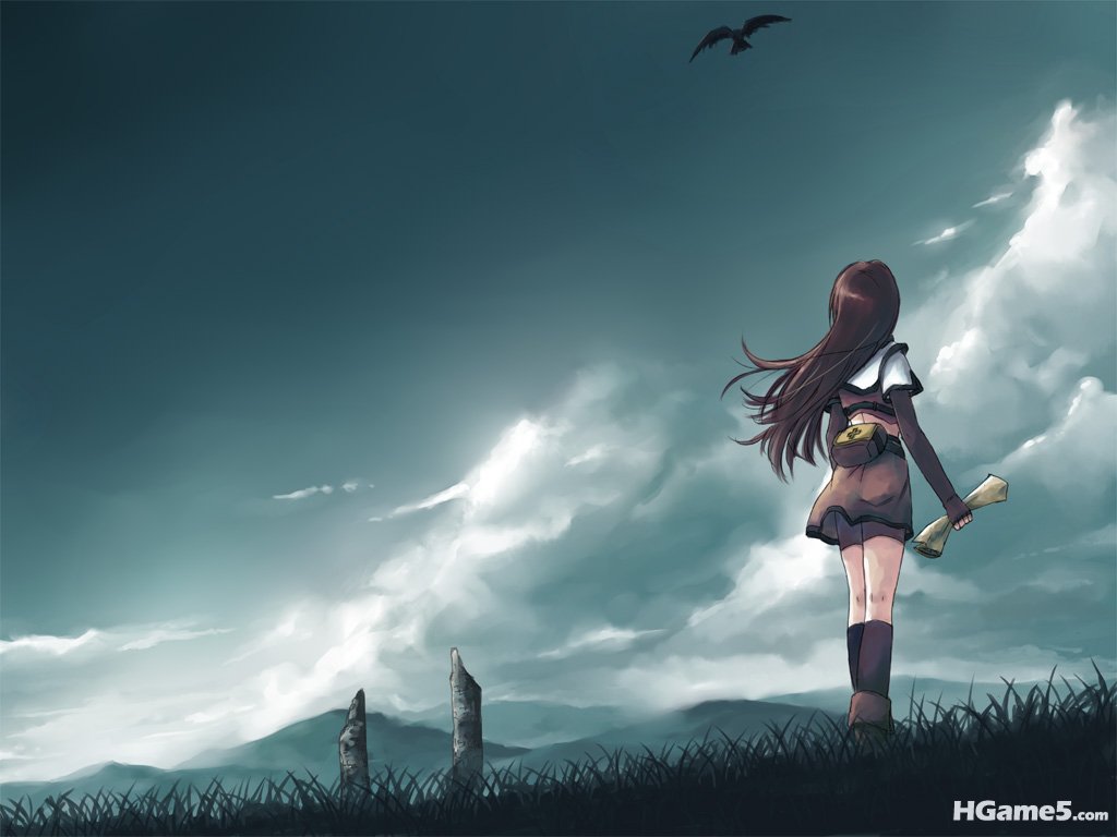 Konachan_com - 110029 animal bird brown_hair clouds grass hunter long_hair ragna.jpg