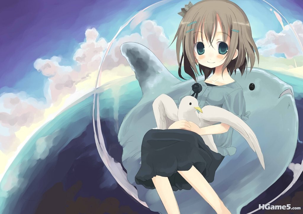 imoe.us-siro.jpg