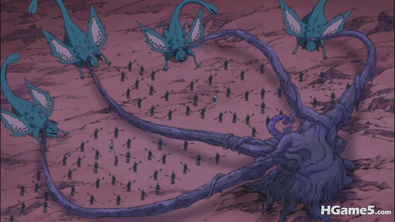 x14.jpg