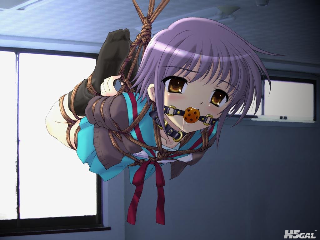 Konachan_com - 112689 bondage collar nagato_yuki rope short_hair suzumiya_haruhi.jpg