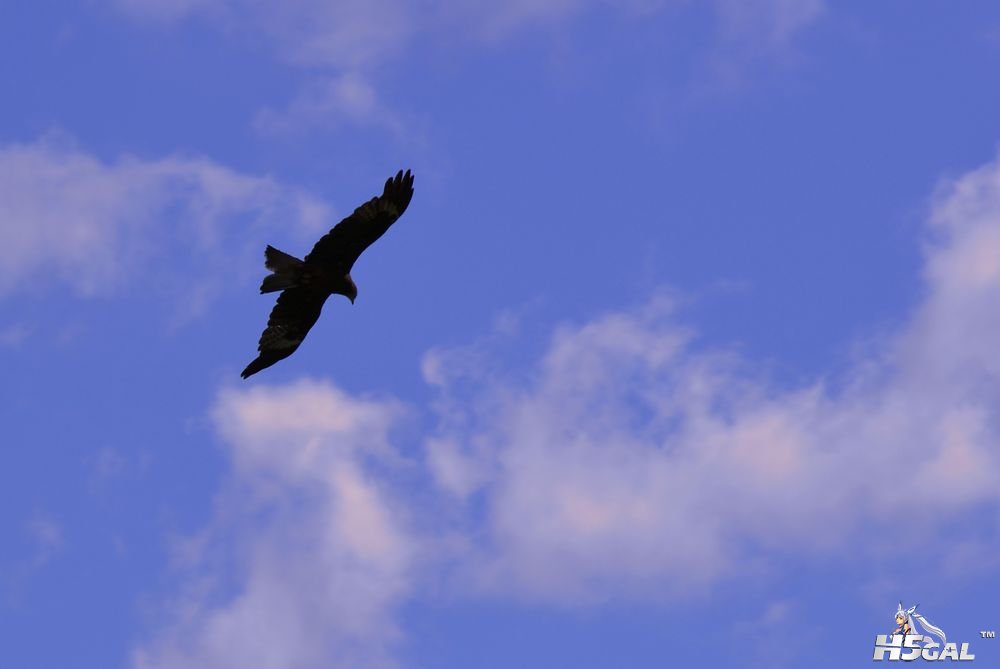 _CSC0289.JPG