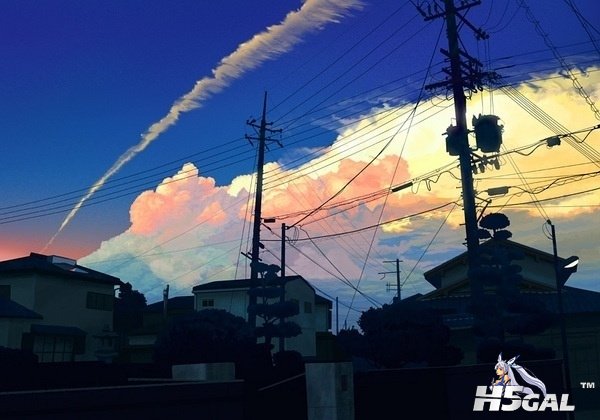 010.jpg