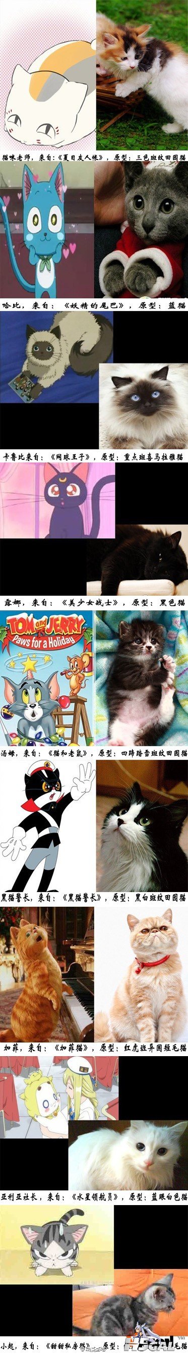 miao.jpg