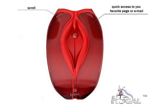 1108312054d0a8fa6ab1c62bc5.jpg