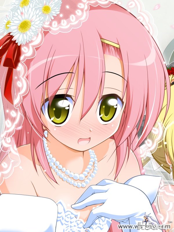 yellow_eyes.jpg
