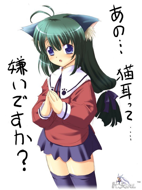 猫儿萌娘图 (4).jpg