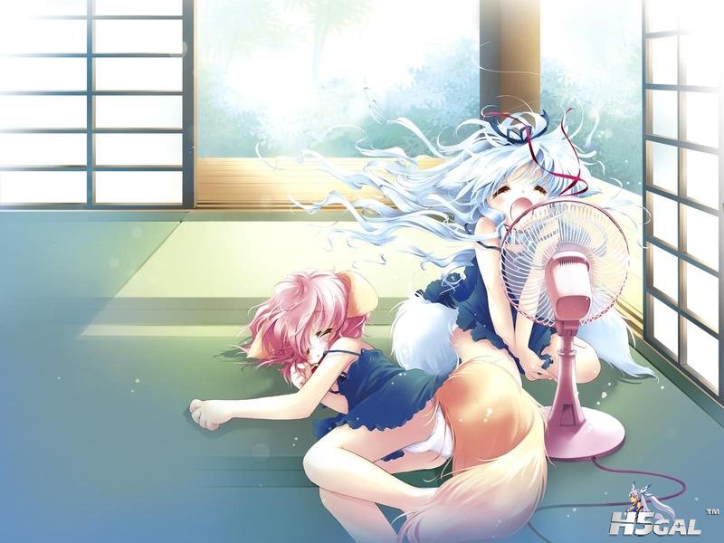 猫儿萌娘图 (29).jpg