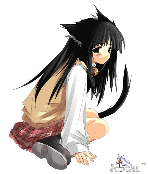 猫儿萌娘图 (35).jpg