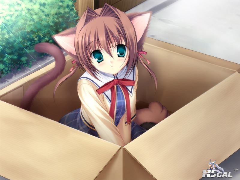 猫儿萌娘图 (92).jpg