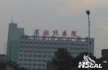 9837faae79383db57709d784.jpg