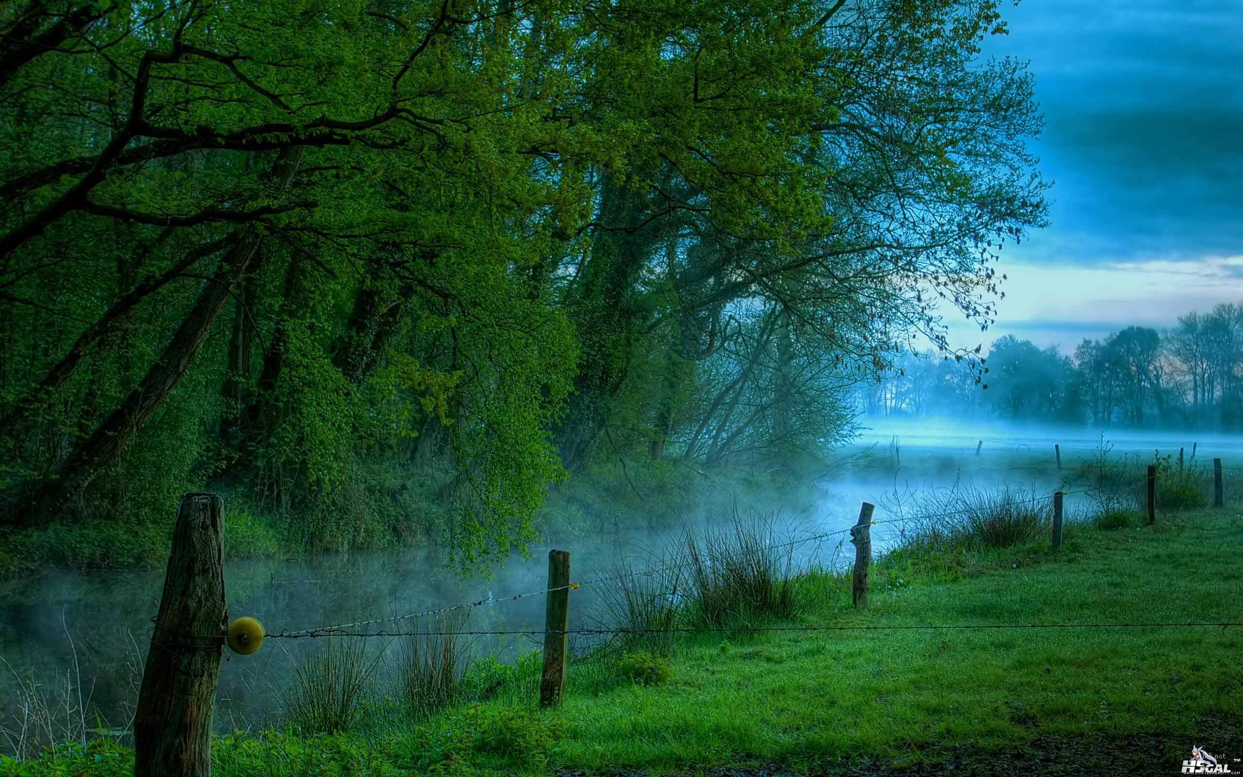 woodland-005 [DesktopNexus.com].jpg