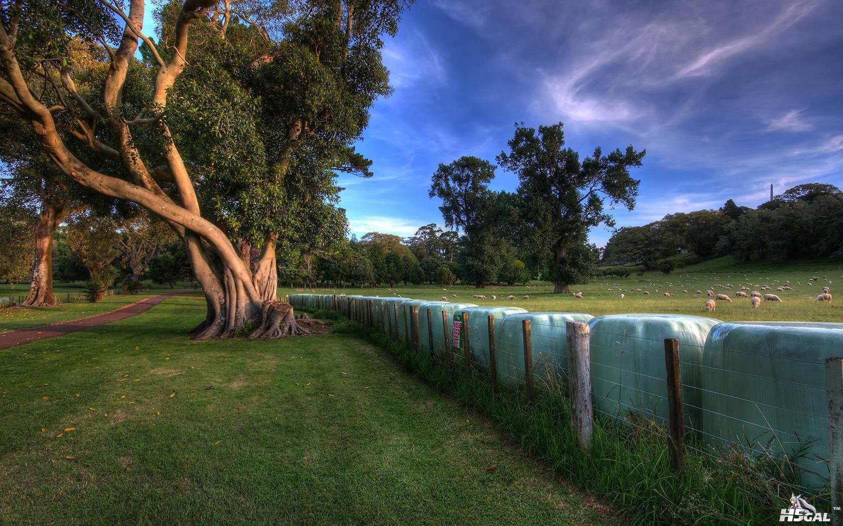 01869_atthepark_1680x1050 [DesktopNexus.com].jpg